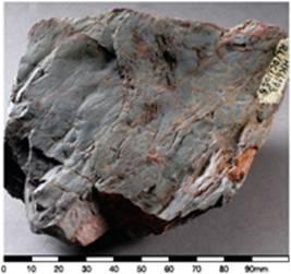 Mudstone of the Tolo Channel Formation